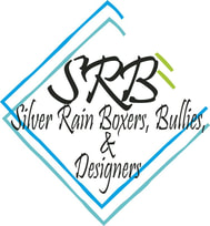 Silver Rain Boxers, Bullies & Designers